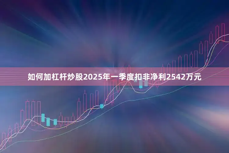 如何加杠杆炒股2025年一季度扣非净利2542万元